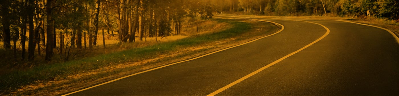 Winding open road in the woods